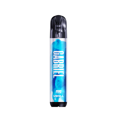 Gabriel XA10000 – Refillable Device + 30ml Flavour FREE