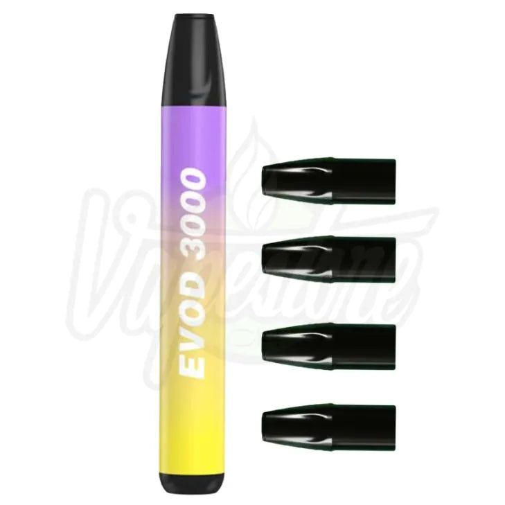 Kanger Tech Evod 3000 Rechargeable